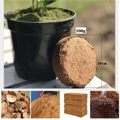 Hot Sale ⏳Organic Coconut Fiber Nutrient Soil for Plants