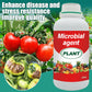 Plant, Melon And Fruit Microbial Bacterial Agent（50% OFF）