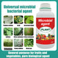 Plant, Melon And Fruit Microbial Bacterial Agent（50% OFF）